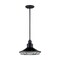 Nuvo Fixture, Pendant, 1-Light, Incandescent, 60W, 120V, A19, Medium Base, Length: 12.00 60/7034 - alternate 2